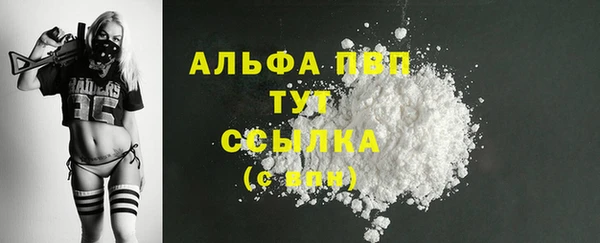 сатива Верея