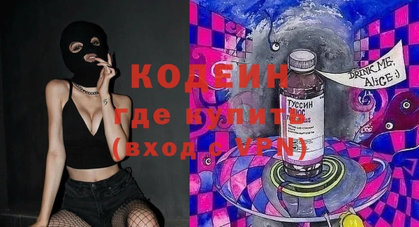 индика Вязьма