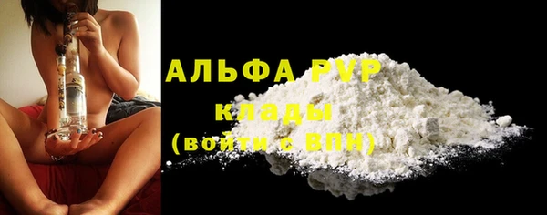 стафф Вяземский