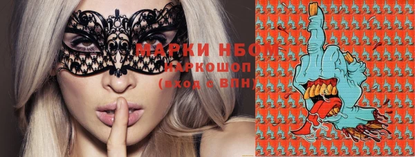 ГАЛЛЮЦИНОГЕННЫЕ ГРИБЫ Вязники