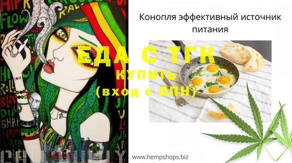 индика Вязьма