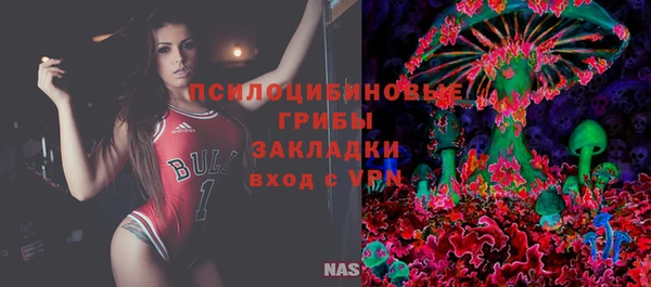 индика Вязьма