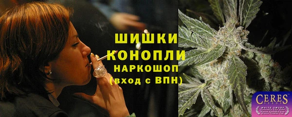 индика Вязьма
